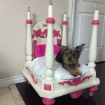 Adorable DIY Pet Bed Ideas-Turn Old, Unused Table into Pet Bed