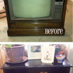 Adorable DIY Pet Bed Ideas-Turn an old TV into a pet bed