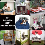 Adorable DIY Pet Bed Ideas main 1