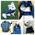 DIY Pet coat pattern