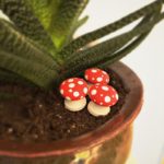 DIY Terrarium Toadstools with Old Knobs