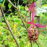 Easter Egg Birdseed Ornaments