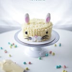 Easter fuzzy bunny cake