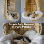 Recycle Baby Bassinet Into Cute Pet Bed