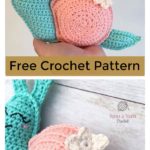 Snail Amigurumi Free Crochet Pattern