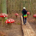 Wooden Forest Toadstools