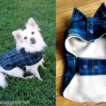 DIY Pet coat pattern