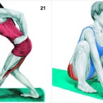 34 Pictures To See Which Muscle You Are Stretching