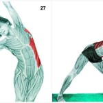 34 Pictures To See Which Muscle You Are Stretching