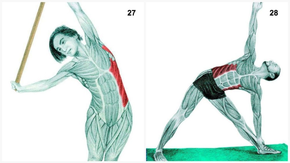 34 Pictures To See Which Muscle You Are Stretching