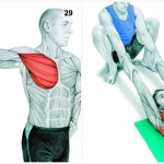 34 Pictures To See Which Muscle You Are Stretching