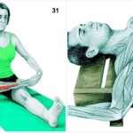 34 Pictures To See Which Muscle You Are Stretching