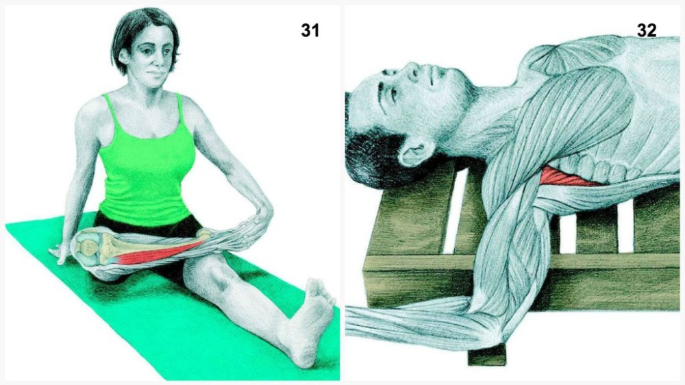 34 Pictures To See Which Muscle You Are Stretching