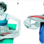 34 Pictures To See Which Muscle You Are Stretching