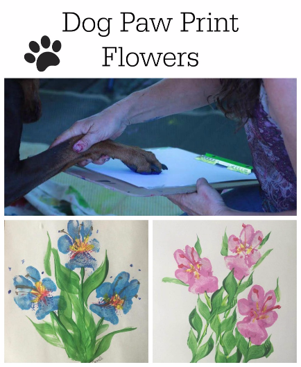 Dog Paw Print Craft