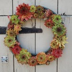 Tire Used As Base For Succulent Wreath