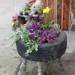 Up cycled Tire Planter