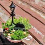 1 Miniature Teacup Garden