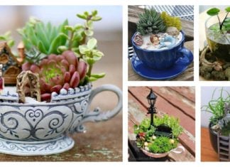 14 Cute Teacup Mini Gardens Ideas