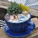 Miniature Teacup Garden