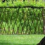 20+ Living Privacy Fence Ideas