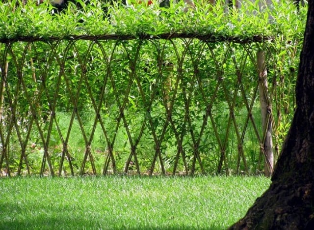 20-Beautiful-Examples-Of-Living-Willow-Fences-1