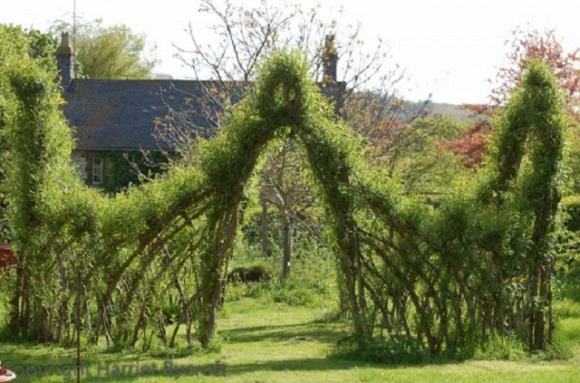 20-Beautiful-Examples-Of-Living-Willow-Fences-12