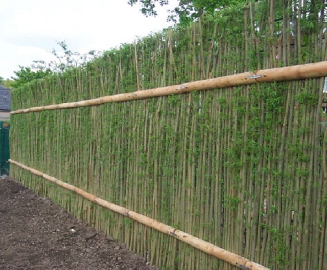 20-Beautiful-Examples-Of-Living-Willow-Fences-19