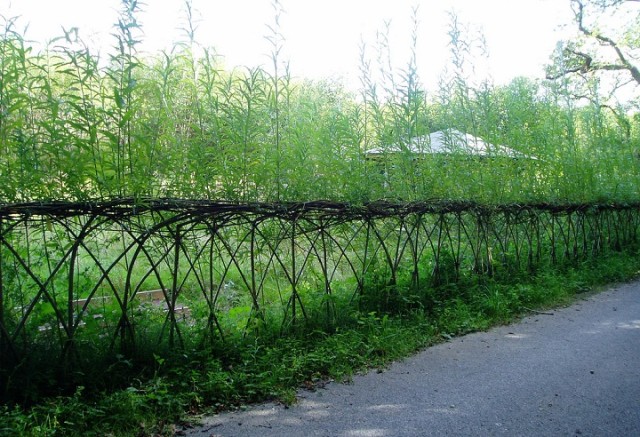 20-Beautiful-Examples-Of-Living-Willow-Fences-2