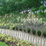 20+ Living Privacy Fence Ideas