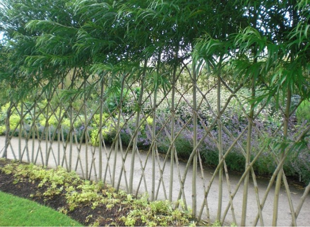 20-Beautiful-Examples-Of-Living-Willow-Fences-5