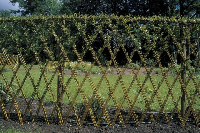 20-Beautiful-Examples-Of-Living-Willow-Fences-6