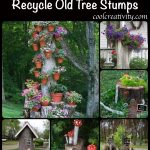 20 + Creative Ideas to Recycle Old Tree Stumps