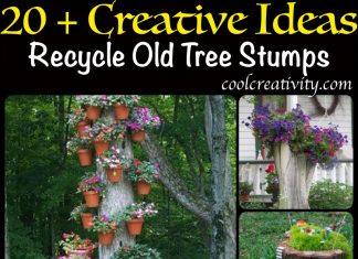Recycle Old Tree Stump Ideas