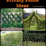 20+ Living Privacy Fence Ideas