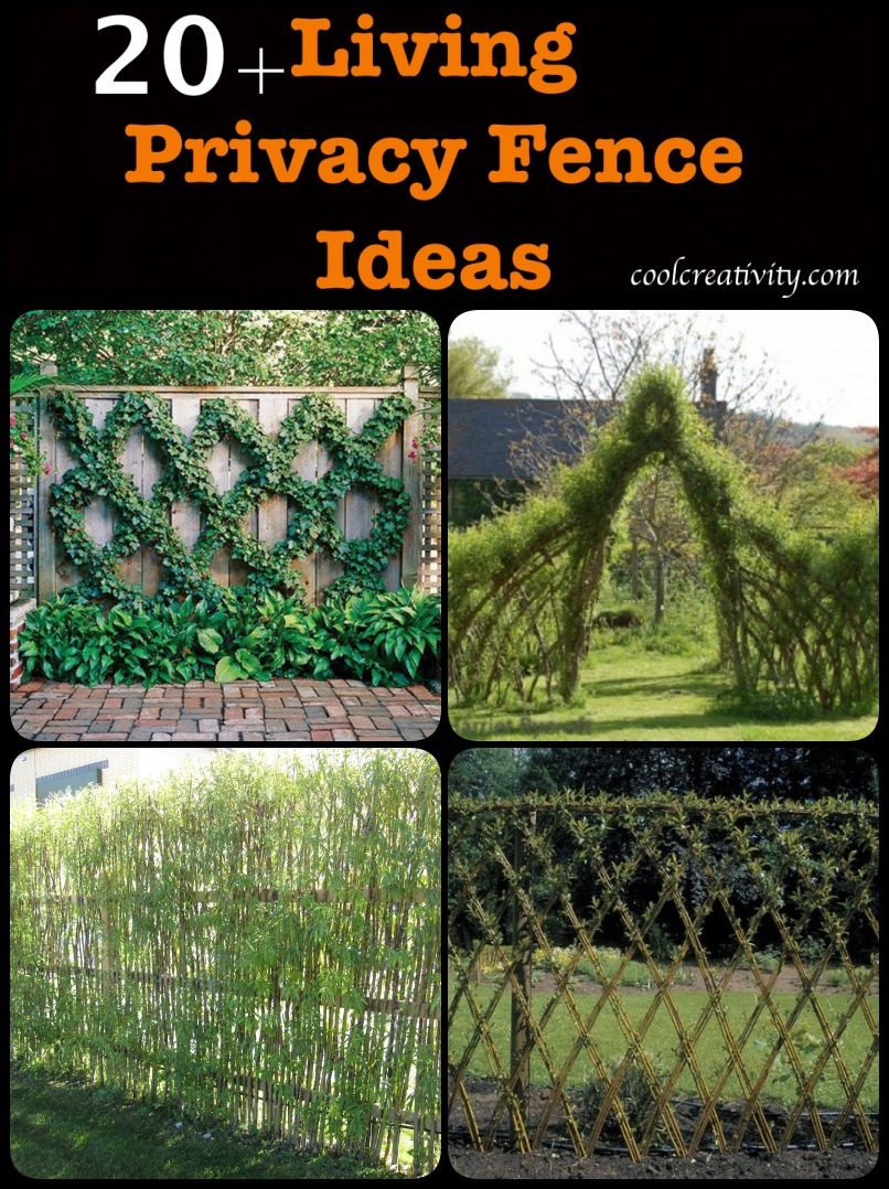 20+ Living Privacy Fence Ideas