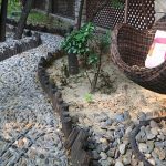 Cool Pebble Pathway Ideas for Your Garden