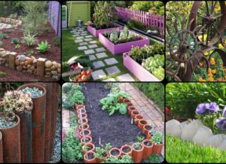 30+ DIY Garden Bed Edging Ideas