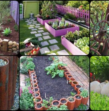 30+ DIY Garden Bed Edging Ideas