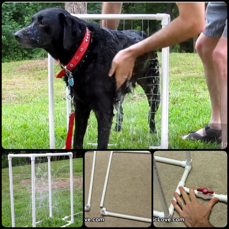 Custom Dog Washer out of PVC pipes