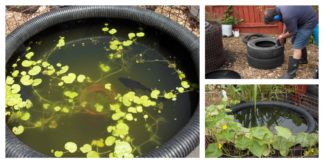 DIY Decorative Fish Pond From Old Car Tires
