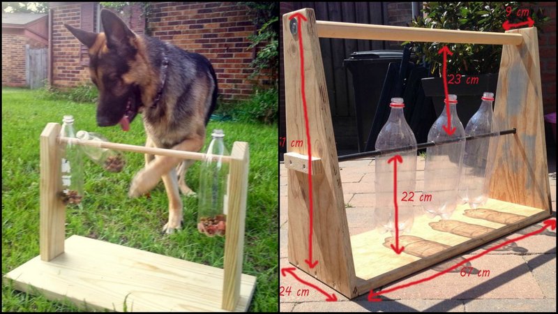 DIY Spin-out Dog Treat Game with Plastic Bottle