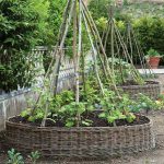 Garden Bed Edging Ideas