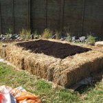 Garden Bed Edging Ideas