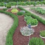 Garden Bed Edging Ideas