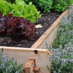 Garden Bed Edging Ideas