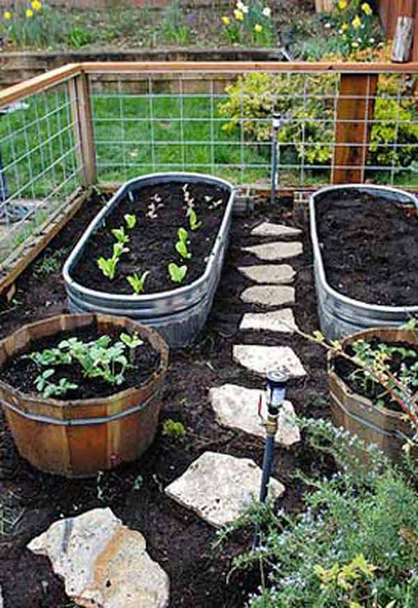 Garden Bed Edging Ideas