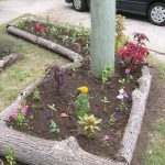 Garden Bed Edging Ideas