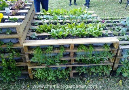 Raised Garden Bed Ideas