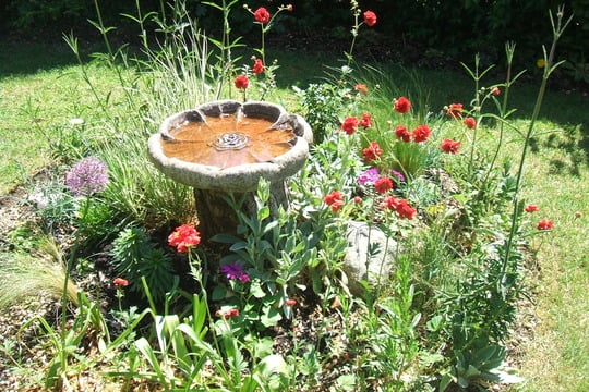 Tree Stump Bird Bath